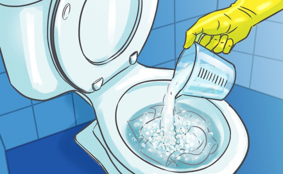 Thông tắc bồn cầu Thái Bình giá rẻ nhất 2023 5 Công ty uy tín, hoạt động lâu năm trong lĩnh vực thông tắc bồn cầu Thái Bình